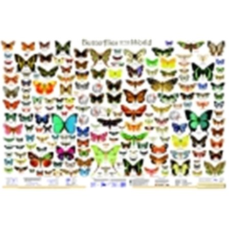 FREY SCIENTIFIC Frey Scientific Butterflies Of The World Poster 529204